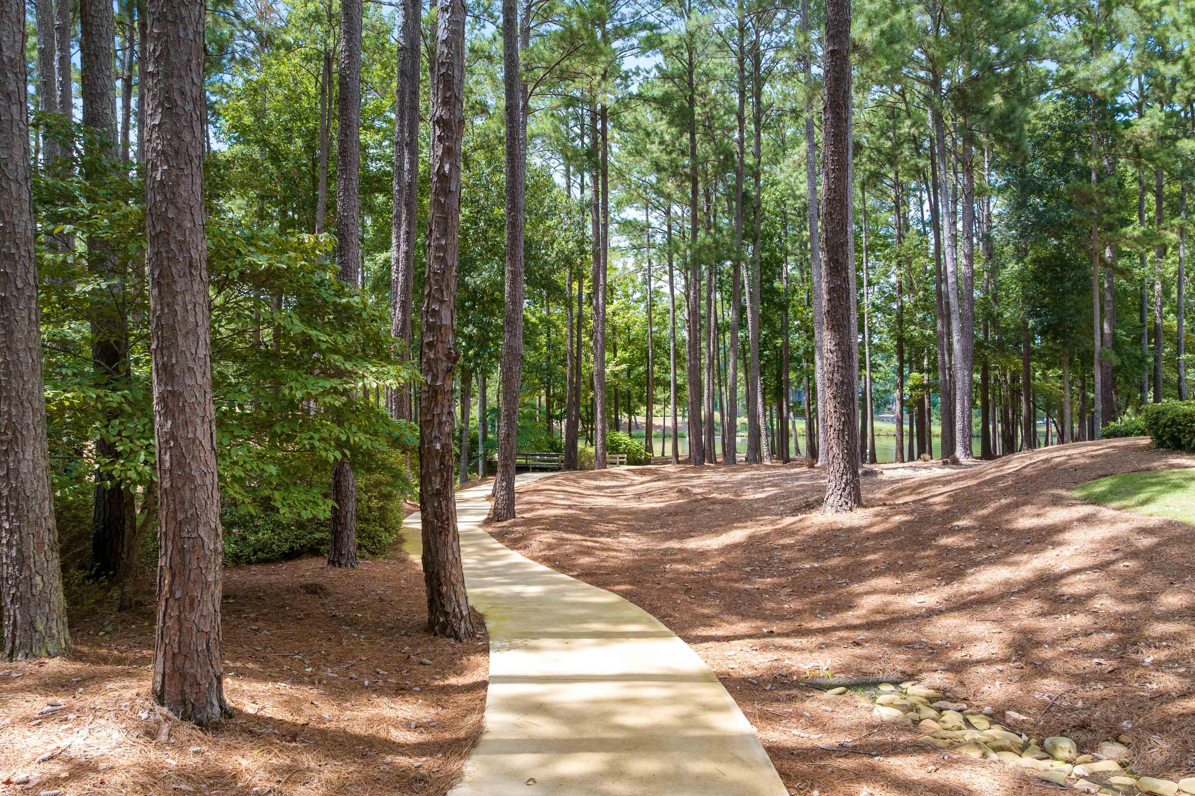 1010C Portage Trail image 41